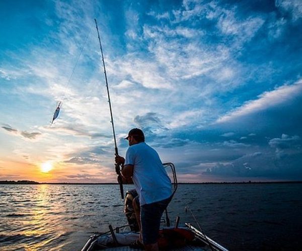 puerto vallarta pesca deportiva